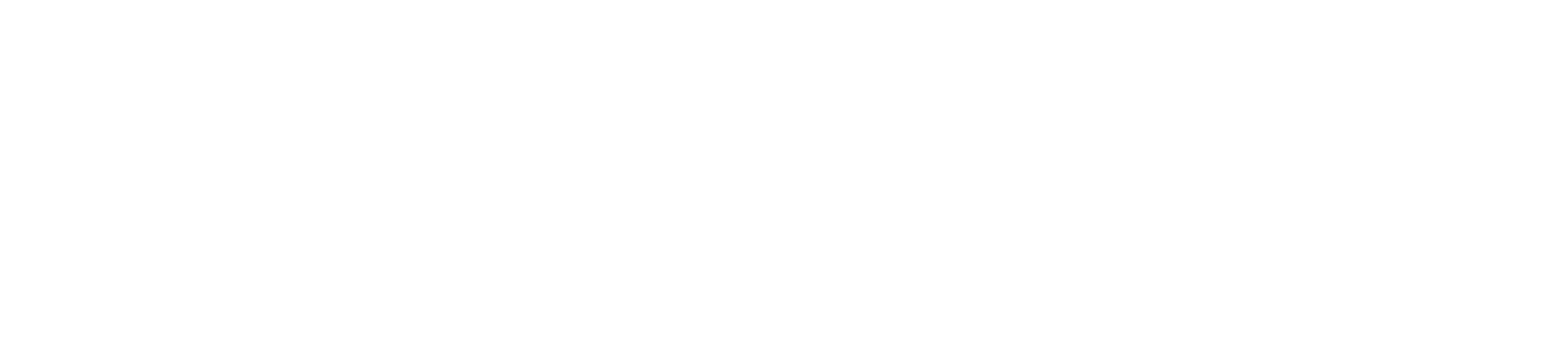 Director Connect logo